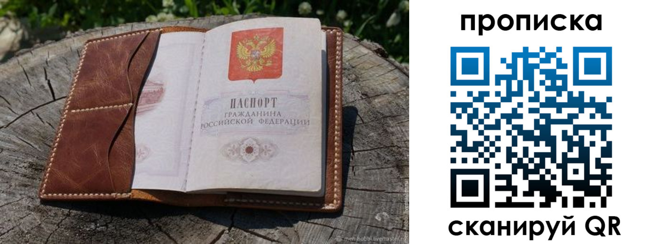 пропишу в квартире в Мурино